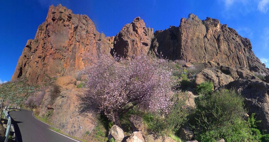 Casa Cueva El Pedregal Tejeda Villa Eksteriør billede